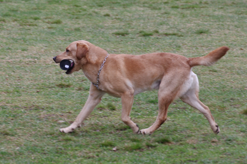 8.5.2010 130c.jpg